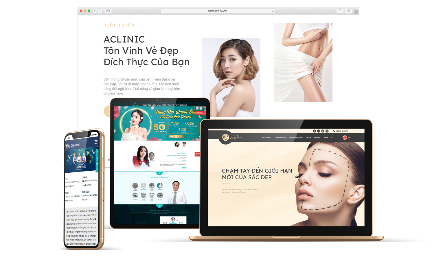 Dịch vụ dich vu thiet ke web tham my vien